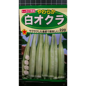  IN 炩   q g[zN