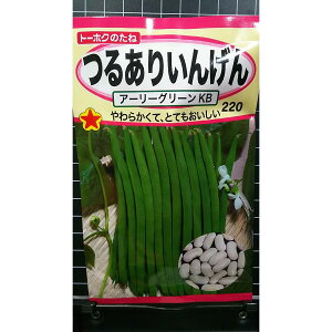 邠 񂰂 A[[O[KB CQ  q g[zN