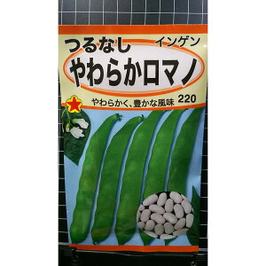 Ȃ 炩 }m CQ  q g[zN