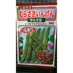 ނ炳 CQ 炸  q g[zN