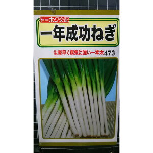 一年 成功 ねぎ ネギ 葱 種 種子 トーホク