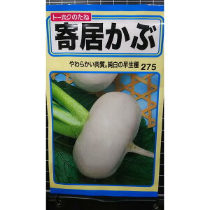 寄居 かぶ よりい 種 種子 トーホク