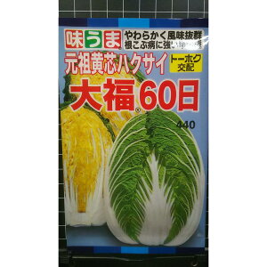 啟 60   nNTC  q g[zN