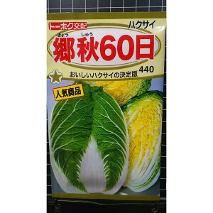 H  60 nNTC   q g[zN