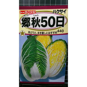 H  50 nNTC   q g[zN