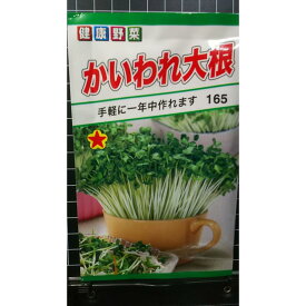 かいわれ大根 カイワレ 種 種 種子 トーホク