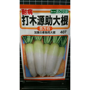 ϕa Ŗ، 卪  S 񂷂  q g[zN