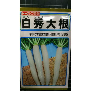 G 卪 Ђ p ͂イ   q g[zN