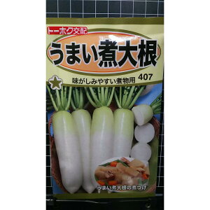 ܂  卪 ϕp   q g[zN