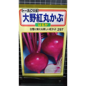  g ۂ ͂邩 gJu  q g[zN