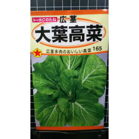 大葉 高菜 広茎 たか菜 タカナ たかな 種 種子 トーホク