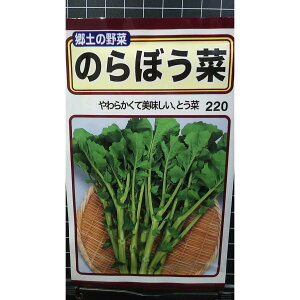 ̂ڂ ̂ڂ Ƃ Ƃ  q g[zN