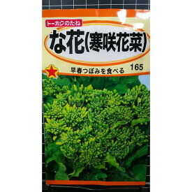 な花 寒咲 花菜 ナバナ ハナナ 種 種子 トーホク