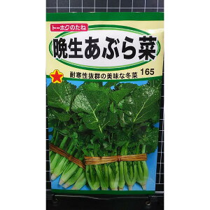 Ӑ Ԃ  Aui ~ ti  q g[zN