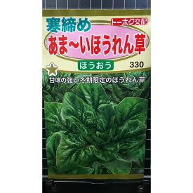 寒締め あまい ほうれん草 ほうおう ホウレンソウ 種 種子 トーホク