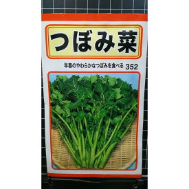 つぼみ菜 つぼみな 種 種 種子 トーホク