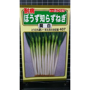 ڂ m炸 ˂ ֔ {K  q g[zN