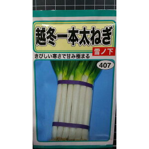 z~  {  ˂ m K  q g[zN