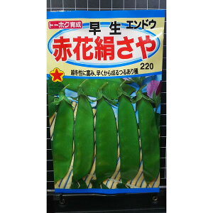  ԉ  ǂ 邠 LkT  q g[zN