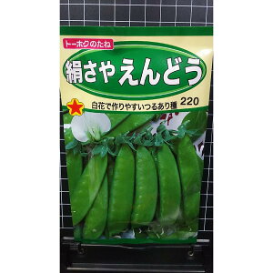  ǂ 邠 LkT  q g[zN