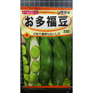  瓤 ӂ \}  q g[zN