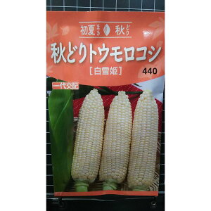 Hǂ gERV P z Cg  q g[zN