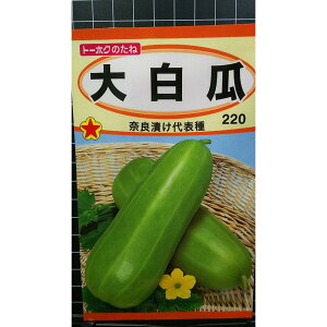  Z VE ޗǒЂ  q g[zN