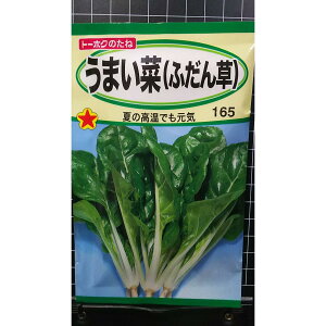 ܂ ܂ ӂ t_\E  q g[zN