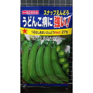 Ȃ ܂ Xibv ǂ Next ǂ񂱕aɋ  q g[zN