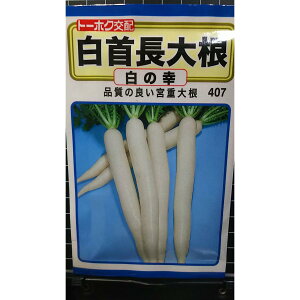   卪 ̍K _CR {d  q g[zN