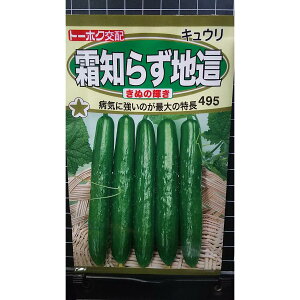 m炸 n ʂ̋P LE L[ ӉZ   q g[zN