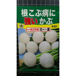 根こぶ病に強い かぶ 白露 種 種 種子 トーホク