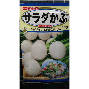 サラダ かぶ 雪の華 種 種子 トーホク