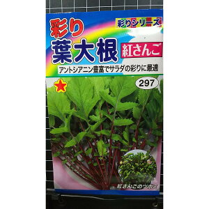 ʂ t卪 g AgVAj  q g[zN