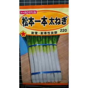 松本 一本 太 ねぎ ネギ 葱 種 種子 トーホク