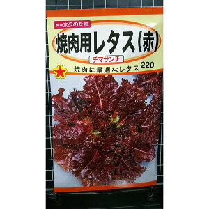 ēp ^X  `}T` `}T` `}Te [t  q g[zN