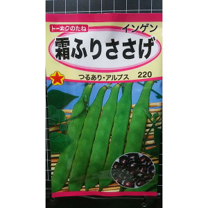 ӂ  邠 CQ  q g[zN