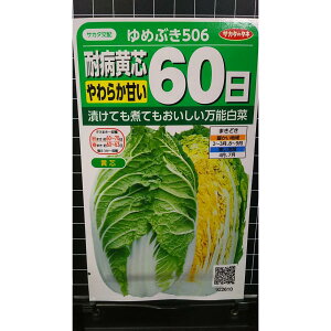  ߂Ԃ 506 60 ϕa c  q TJ^̃^l