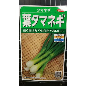 葉 タマネギ 玉ねぎ 種 種子 サカタのタネ