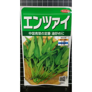 Gc@C  GTC  q TJ^̃^l