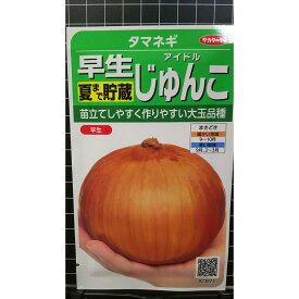 早生 タマネギ じゅんこ 大玉 玉ねぎ 種 種子 サカタのタネ
