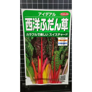 m ӂ ACfA XCX`[h Jt t_\E  q TJ^̃^l