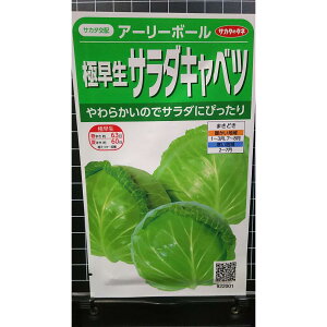 �ɑ��� �T���_ �L���x�c �A�[���[�{�[���� ��q �T�J�^�̃^�l