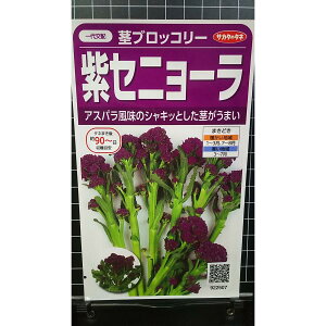  s ubR[ XeBbN Zj[  q TJ^̃^l