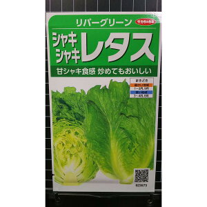 VLVL ^X o[O[  q TJ^̃^l