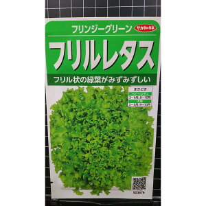 t ^X tW[ O[  q TJ^̃^l