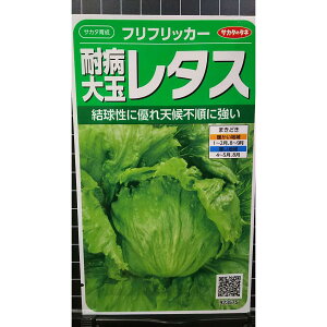 ^X ϕa  ttbJ[  q TJ^̃^l