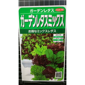 K[f ^X ~bNX  q TJ^̃^l