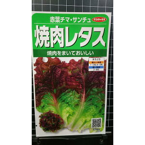 ē ^X ԗt `}ET` `}Te  q TJ^̃^l