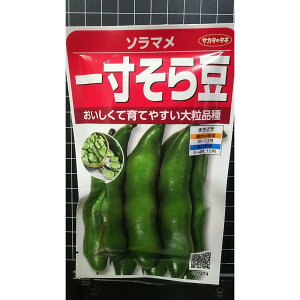 ꐡ 瓤 1 \} 嗱  q TJ^̃^l